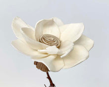Load image into Gallery viewer, Redheart Dry Bud Vase