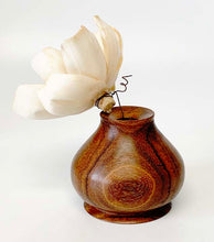 Load image into Gallery viewer, Belly Bocote Twig Vase