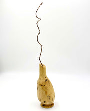 Load image into Gallery viewer, Spalted Tamarind Dried Flower & Twig Vase